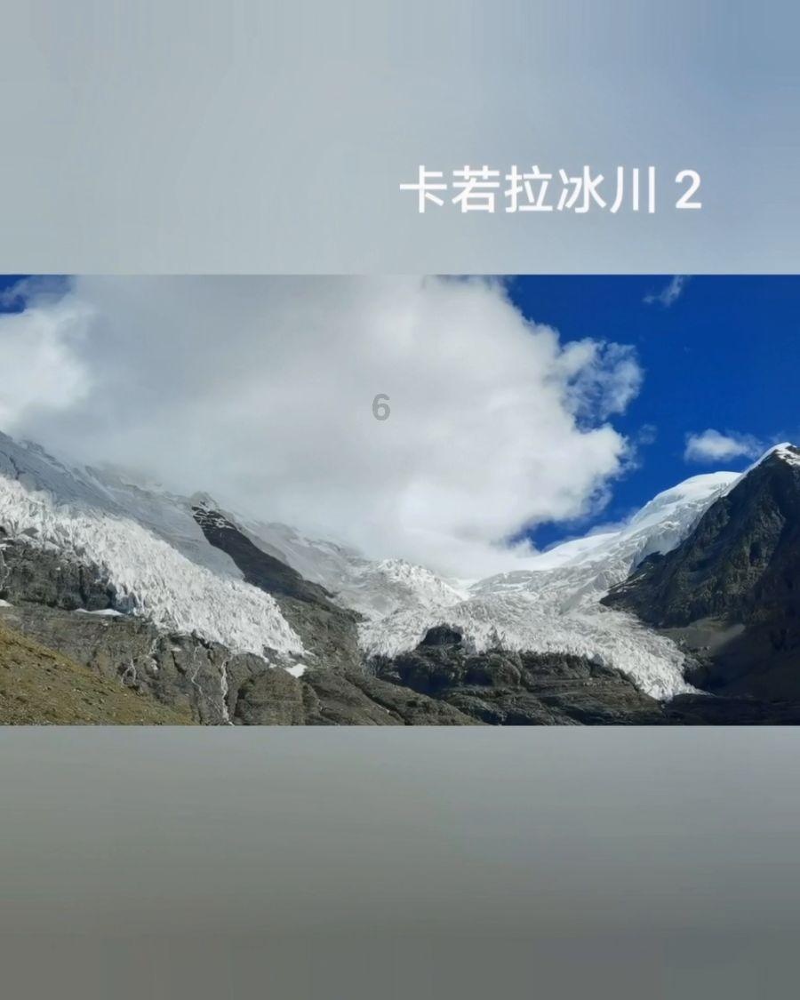 可爱的小考拉